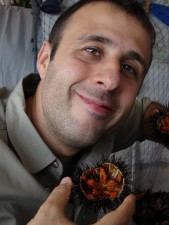Lieggi Mimmo